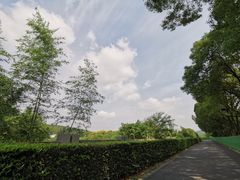 -荣巷小馄饨(荣巷店)