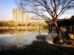 -高子水居