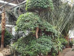 android_upload_pic-北戴河集发农业梦想王国