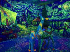 -苏州5D星空错觉艺术馆