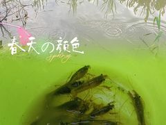 -苏州太湖国家湿地公园