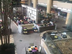 -成都保利公园皇冠假日酒店(熊猫基地店)