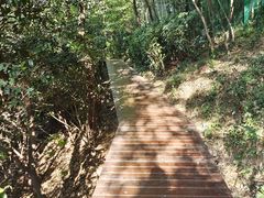 -上海佘山国家森林公园西佘山园