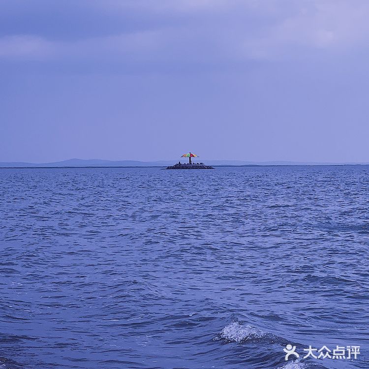 💜复古浪漫紫色调VSCO就能调☔️超美(附原图)