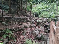 -火炉山森林公园