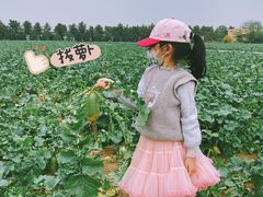 -汉长安城未央宫国家考古遗址公园