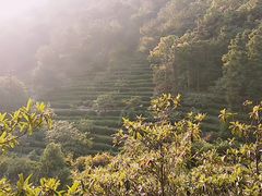 -九龙潭景区