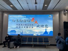 -威海大水泊国际机场