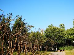 -东升八家郊野公园