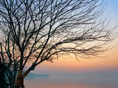 -泗洪洪泽湖湿地景区