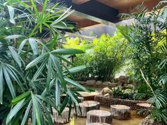 -三江森林温泉度假区