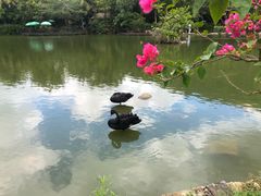 -呀诺达热带雨林