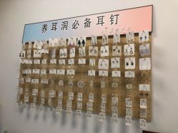 -AI艾耳·专业手工耳洞·穿孔美学馆
