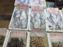 -东方国际水产中心