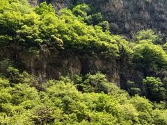 -藏山旅游风景区