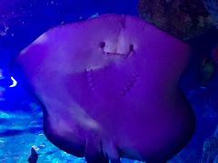 -沈阳海洋探索中心