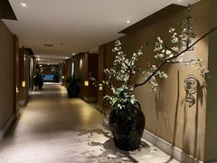 -春晖园度假酒店温泉