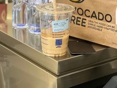 -油梨树AVOCADO TREE(嘉里中心店)
