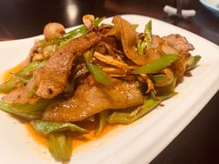 -陈麻婆豆腐总店