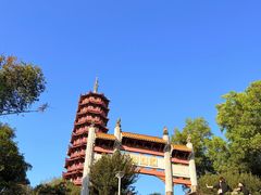 -大雁山风景区