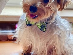 -爱侣宠医·鹦鹉专科·小型哺乳类·异宠专科(灵石路店)