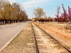 -永定河休闲森林公园