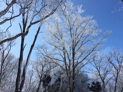 -中旅松花湖滑雪场