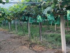 -美家乐农庄·露营·团建(大治路店)