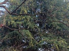 -白塘生态植物园
