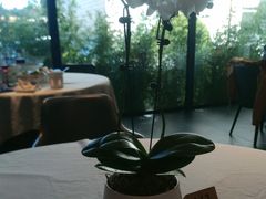 -蘇锦宴·淮扬菜烤鸭·小院(三元桥霄云路店)
