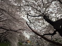 -名古屋城