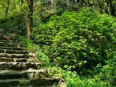 -宁波五龙潭景区