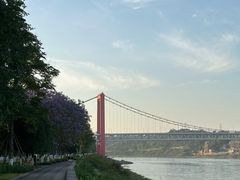 -张坝桂圆林公园