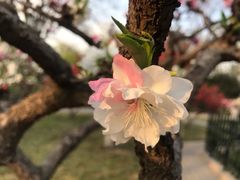 -玲珑塔公园