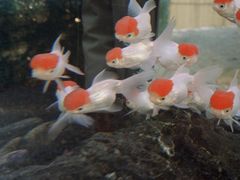 -昆山城市生态森林公园