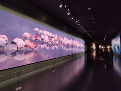 -罗红摄影艺术馆