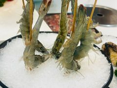 深水虾-帝皇海海鲜豆捞(桐泾商务广场店)