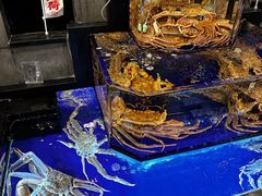 -蟹道乐(道顿堀本店)