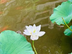 -龙头寺公园