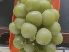 -马陆小张葡萄园农家乐