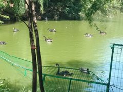 -长白岛森林公园