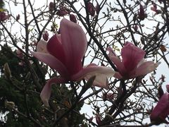 -云南师范大学(一二一西南联大校区)