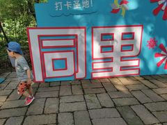-同里国家湿地公园