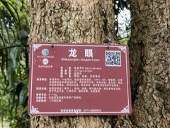-广西壮族自治区药用植物园