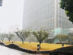 -陆家嘴世纪金融广场