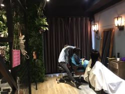 -藤野造型