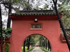 -洛阳白马寺