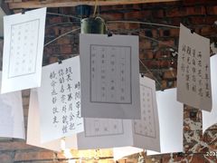 -董眼镜火锅(洪崖洞总店)
