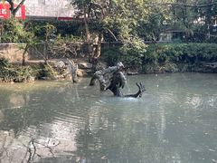 -汇龙潭