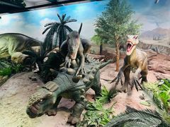 -国家自然博物馆